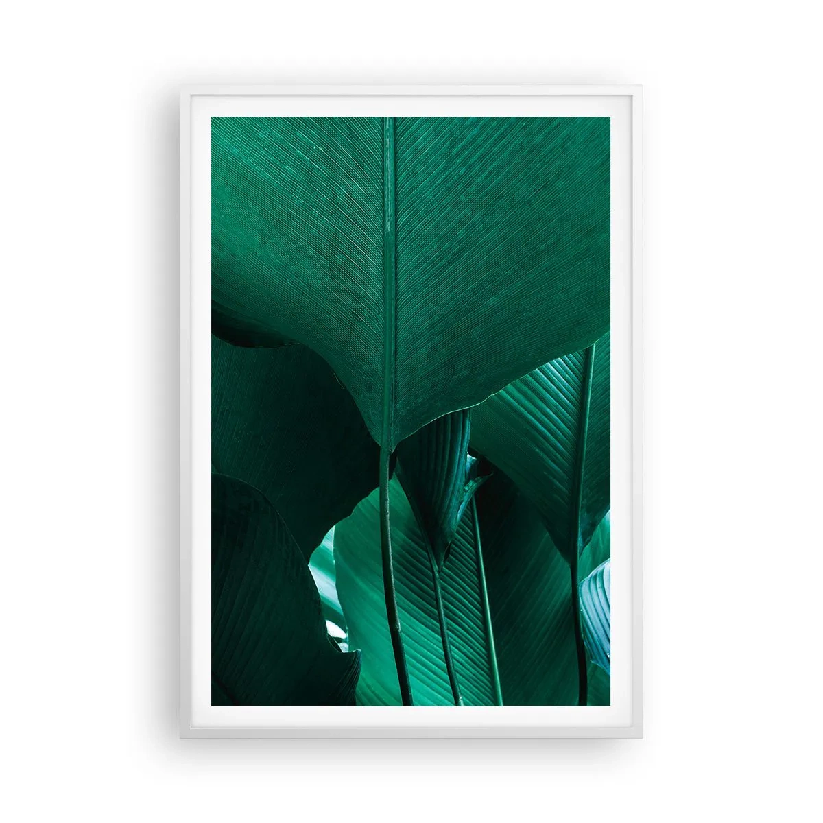 Póster en marco blanco - De cara a la luz - 70x100 cm