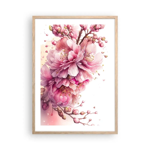 Póster en marco roble claro - Flor de cerezo - 50x70 cm