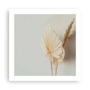 Póster - Armonía y consuelo - 50x50 cm