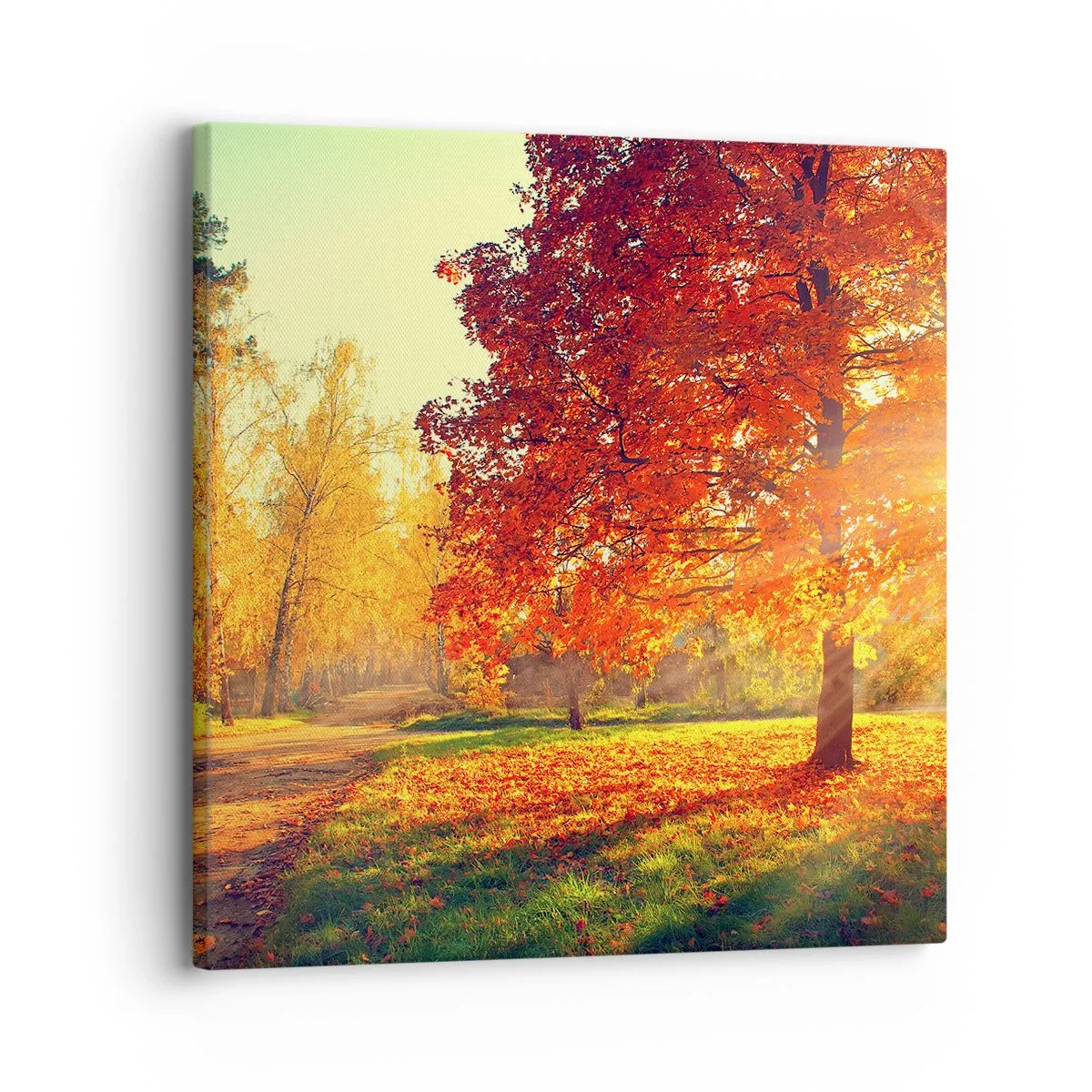 Cuadro sobre lienzo - Impresión de Imagen - El rojo es hermoso - 30x30 cm