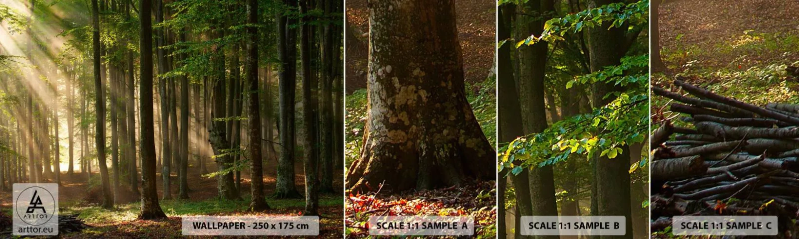 Muestra De Fotomural Standard Eco - Radiante en una mañana de primavera - Paisaje, Bosque, Parque - 100x30 cm