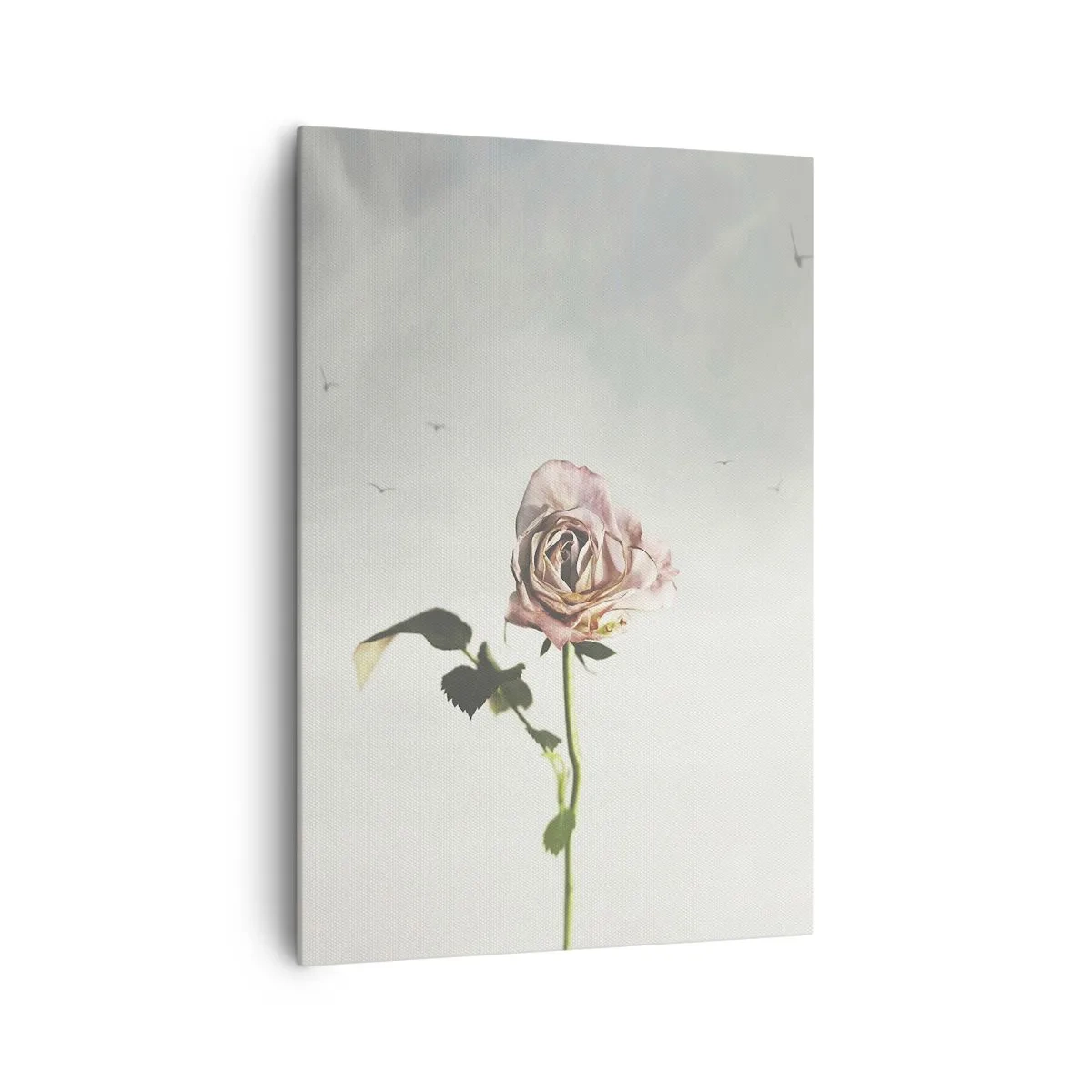 Cuadro sobre lienzo - Impresión de Imagen - Una delicada rosa contra un cielo brillante con pájaros volando. - 70x100cm - Bienvenida a la primavera - Decoración de pared moderna para salón y dormitorio ARTTOR