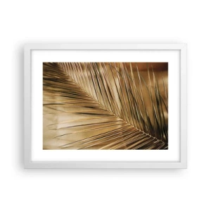 Póster en marco blanco - Una columnata natural - 40x30 cm