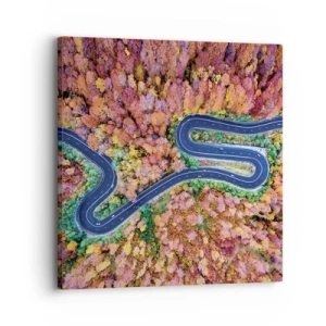 Cuadro sobre lienzo - Impresión de Imagen - Un camino sinuoso a través del bosque - 30x30 cm