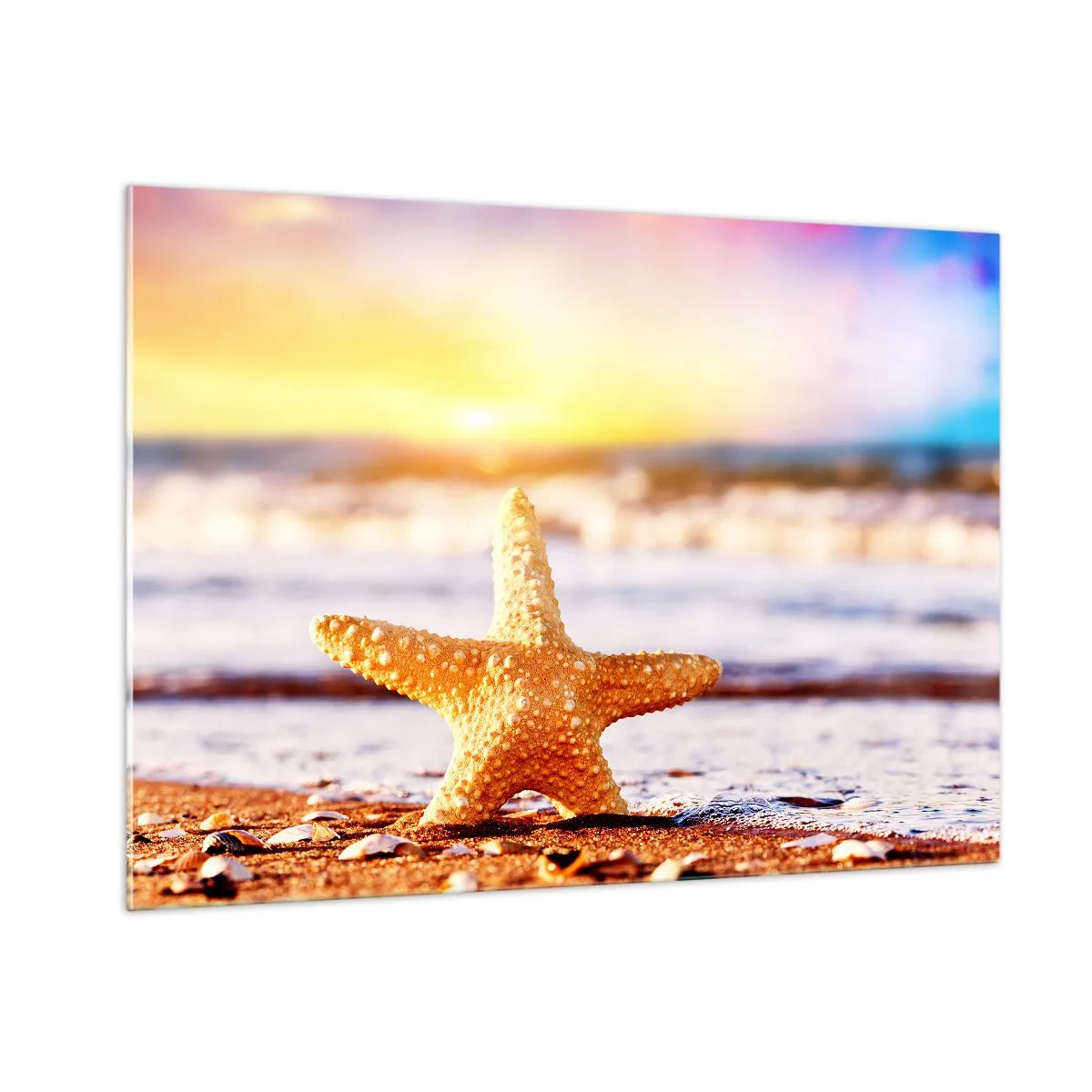 Cuadro sobre vidrio - Impresiones sobre Vidrio - Estrellas de mar en la playa a la luz del sol poniente - 100x70cm - Regalo del mar - Decoración de pared moderna para salón y dormitorio ARTTOR