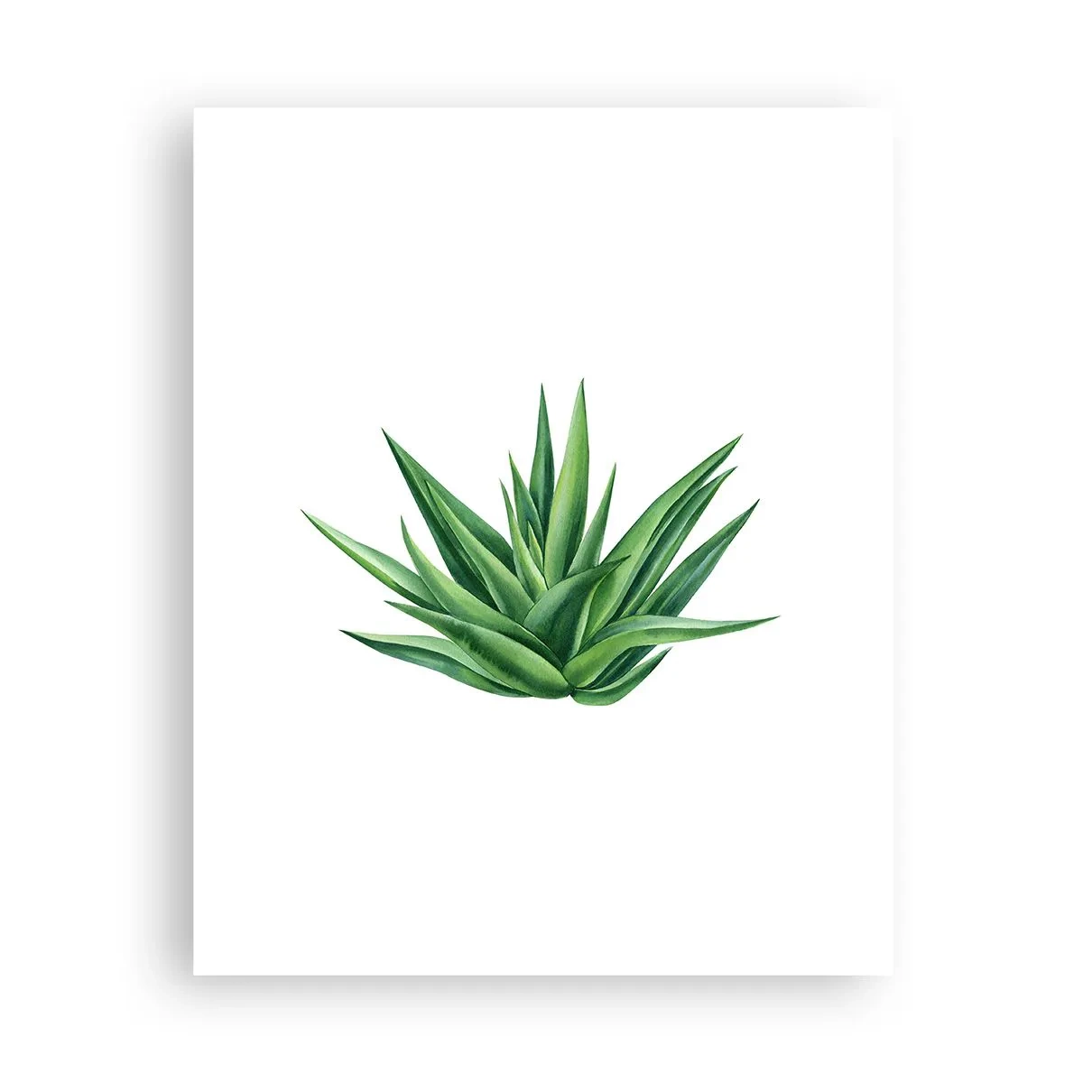 Póster - Verde - fuerza - vida - 40x50 cm