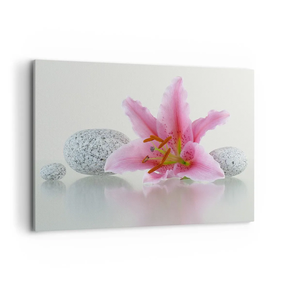 Cuadro sobre lienzo - Impresión de Imagen - Flor de lirio rosa con piedras sobre un fondo claro. - 120x80cm - Estudio en rosa, gris y blanco - Decoración de pared moderna para salón y dormitorio ARTTOR