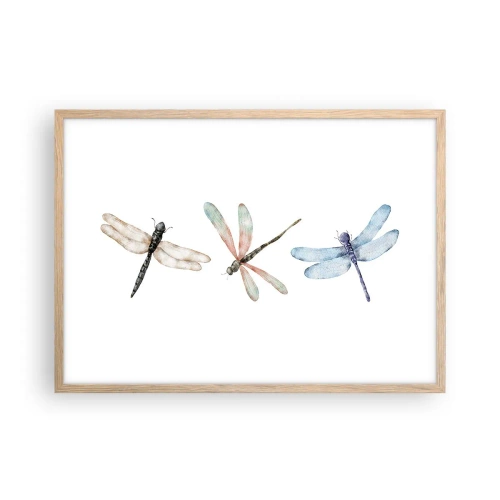 Póster en marco roble claro - Libélulas ingrávidas - 70x50 cm