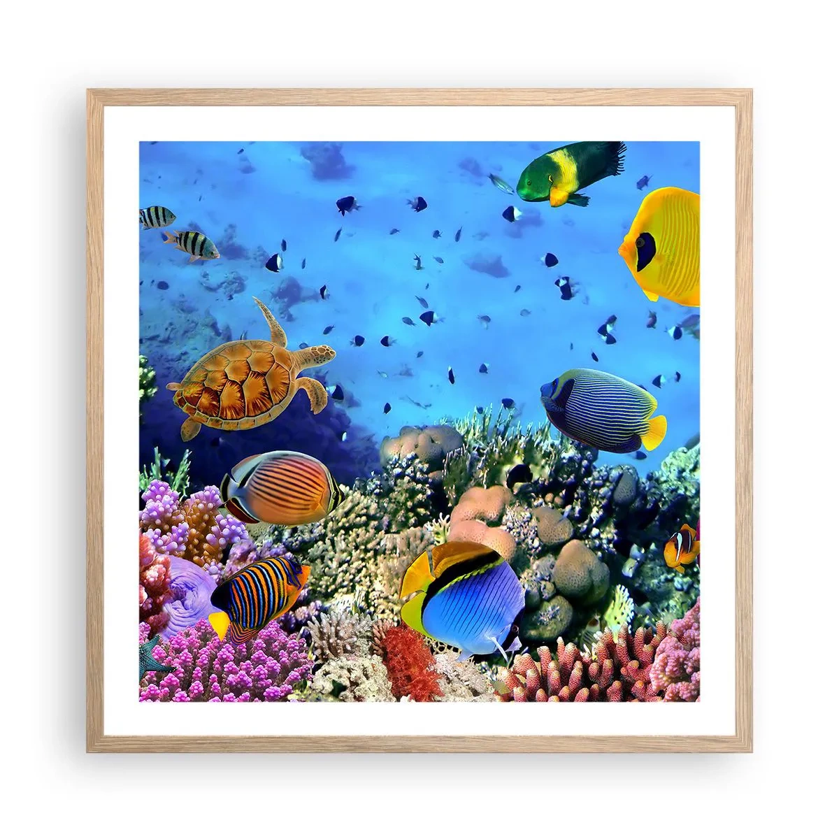 Póster en marco roble claro - Y qué sabemos de la vida... - 60x60 cm