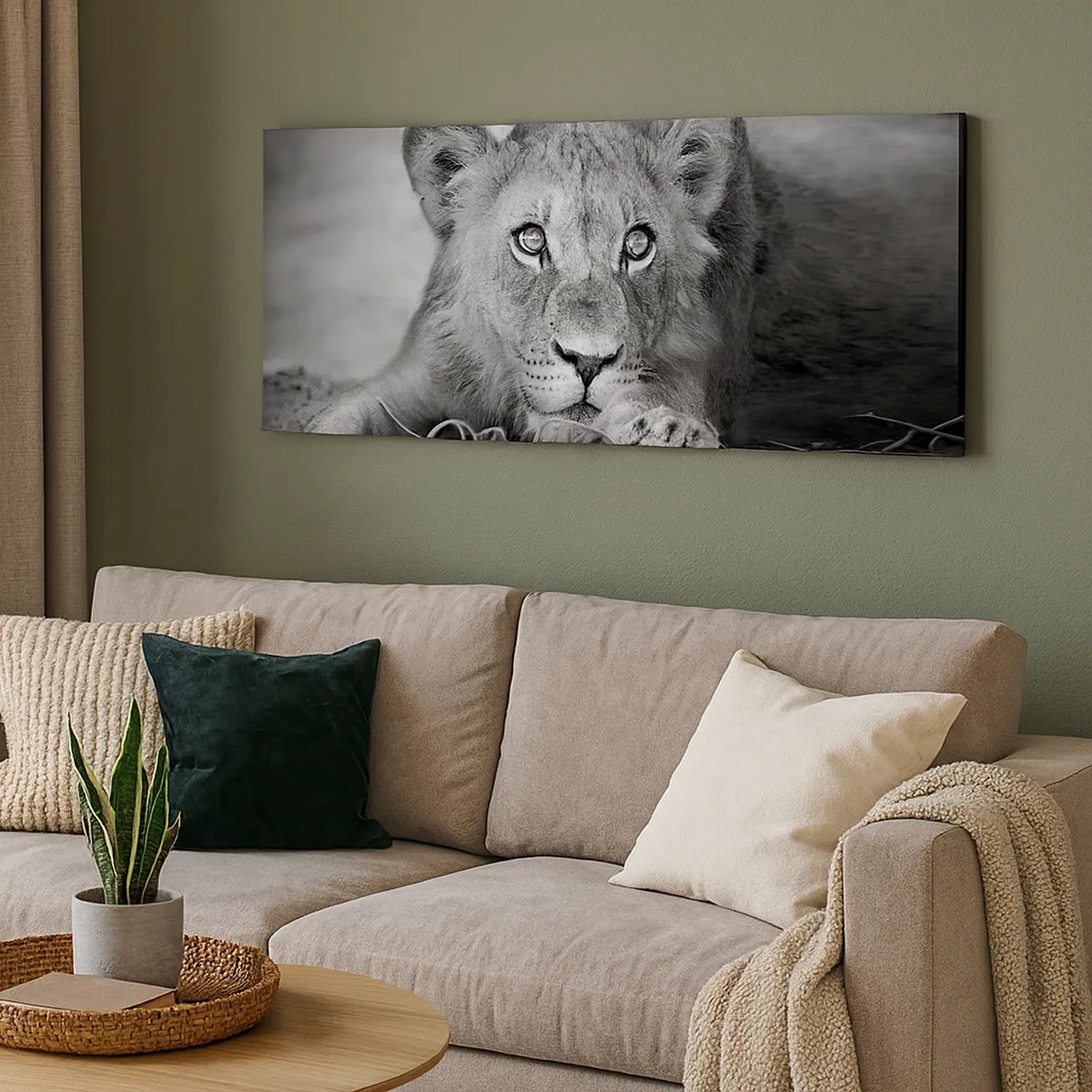 Cuadro sobre lienzo - Impresión de Imagen - Un cachorro real - 30x30 cm