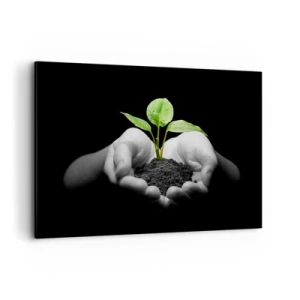 Cuadro sobre lienzo - Impresión de Imagen - Manos sosteniendo una planta verde sobre un fondo negro - 120x80cm - Amo la naturaleza, la protejo - Decoración de pared moderna para salón y dormitorio ARTTOR