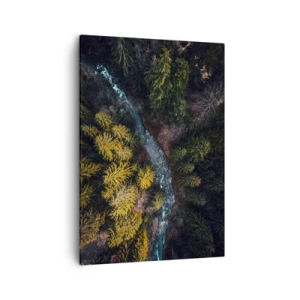 Cuadro sobre lienzo - Impresión de Imagen - Una vista desde arriba de un bosque con un río sinuoso. - 50x70cm - Rápido, cada vez más rápido - Decoración de pared moderna para salón y dormitorio ARTTOR