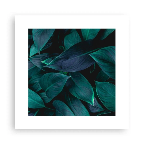 Póster - El propio verde - 30x30 cm