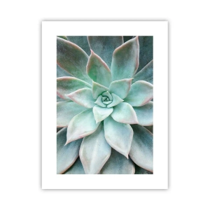 Póster - El corazón del desierto - 30x40 cm