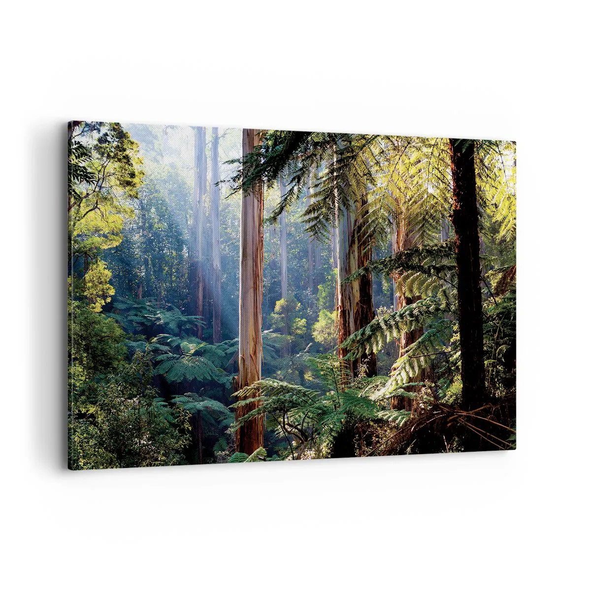 Cuadro sobre lienzo - Impresión de Imagen - Bosque tropical iluminado por los rayos del sol - 100x70cm - Un cuento de hadas del bosque - Decoración de pared moderna para salón y dormitorio ARTTOR