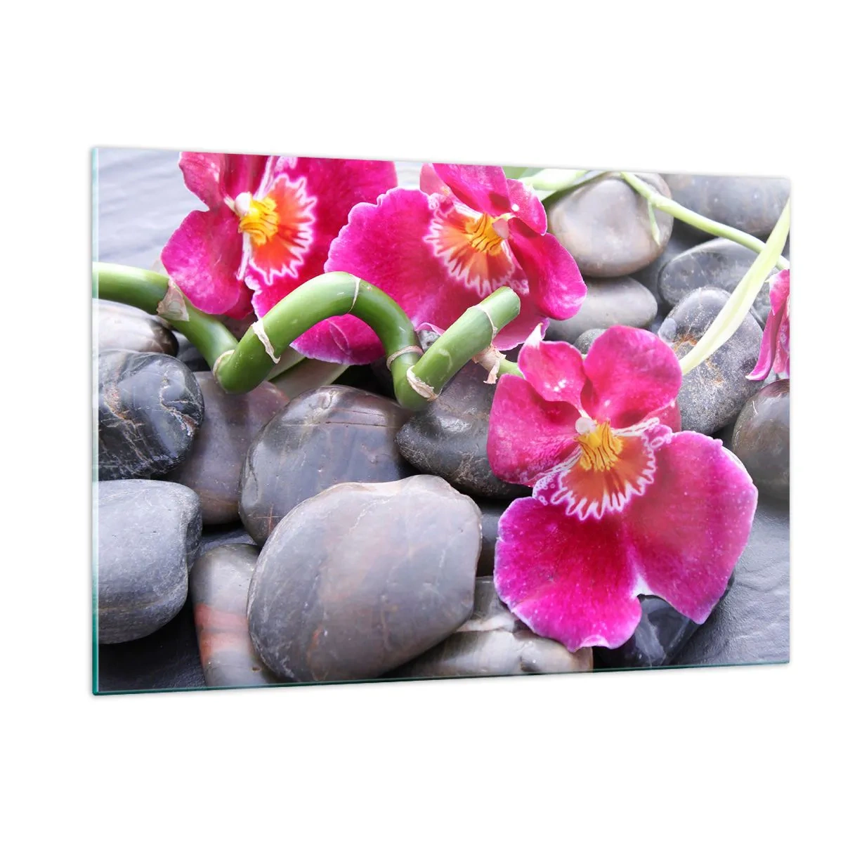 Cuadro sobre vidrio - Impresiones sobre Vidrio - Orquídeas rosas con bambú sobre piedras. - 120x80cm - Frío y calor - Decoración de pared moderna para salón y dormitorio ARTTOR