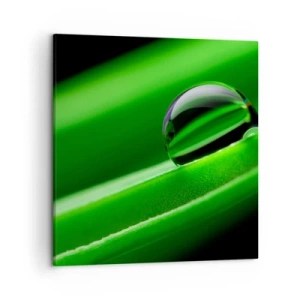 Cuadro sobre lienzo - Impresión de Imagen - La vida de cerca - 50x50 cm