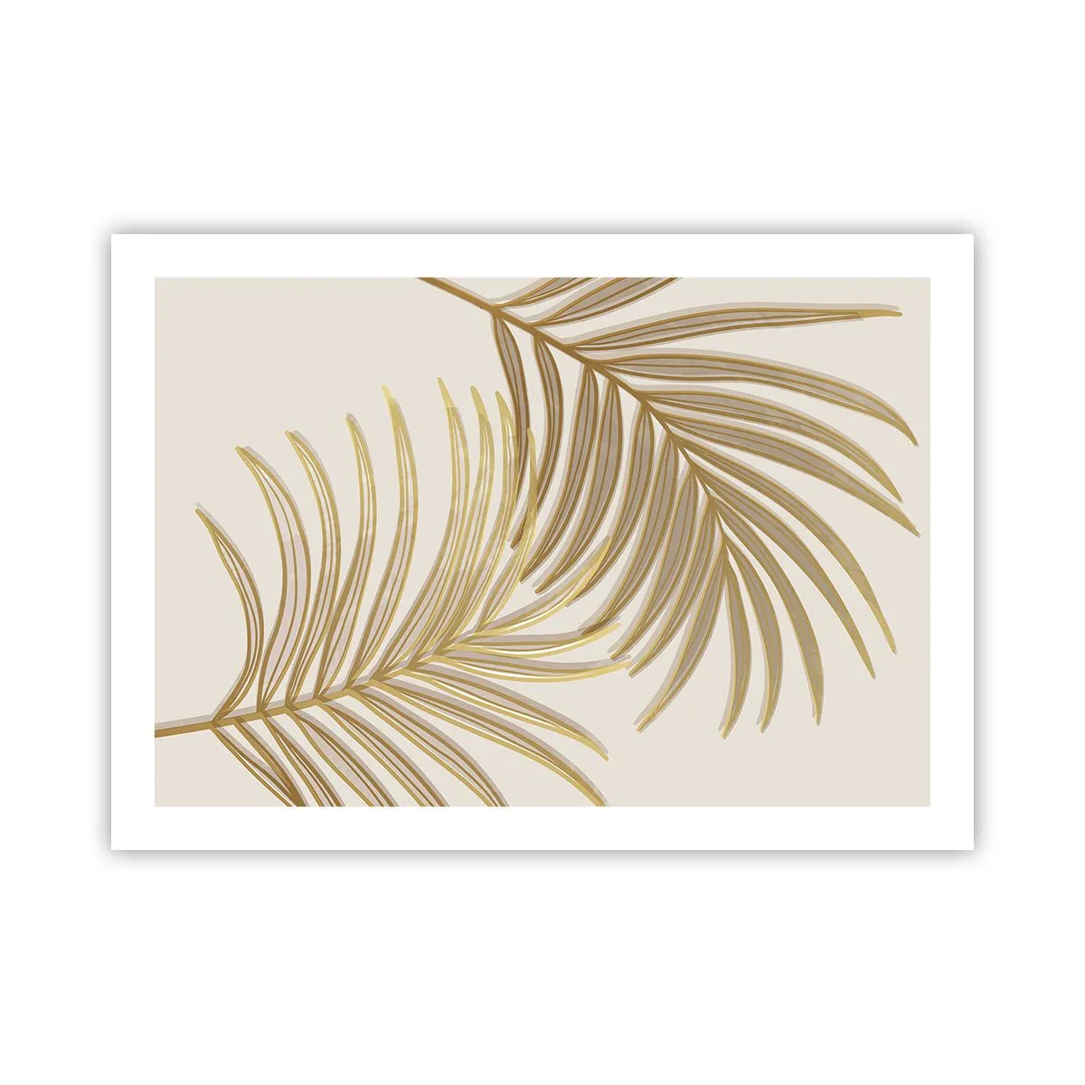 Póster - Palma de Oro - 70x50 cm