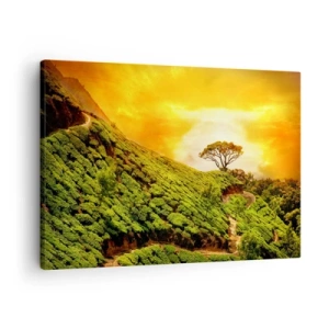 Cuadro sobre lienzo - Impresión de Imagen - Colinas verdes de plantaciones de té al atardecer - 70x50cm - Por un camino sinuoso, por una verde pendiente - Decoración de pared moderna para salón y dormitorio ARTTOR