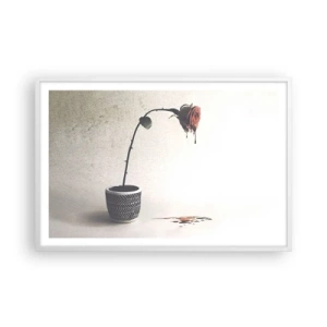 Póster en marco blanco - Rosa dolorosa - 91x61 cm