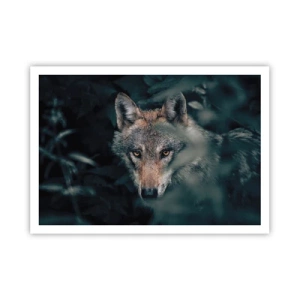 Póster - Un lobo en su entorno natural, mirando desde las profundidades del bosque. - 100x70cm - Cazador - Decoración de pared moderna para salón y dormitorio ARTTOR