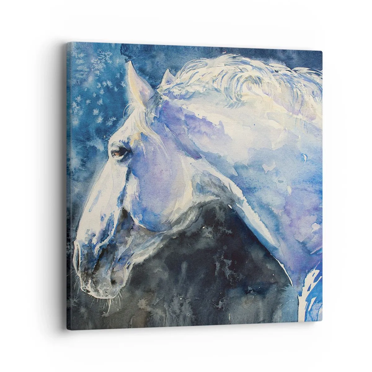 Cuadro sobre lienzo - Impresión de Imagen - Retrato en un resplandor azul - 40x40 cm