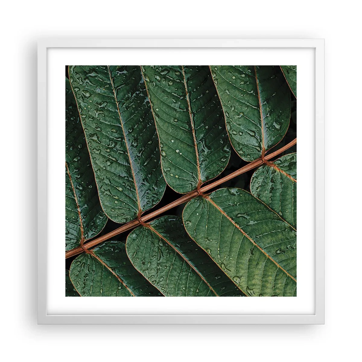 Póster en marco blanco - En un ritmo verde - 50x50 cm