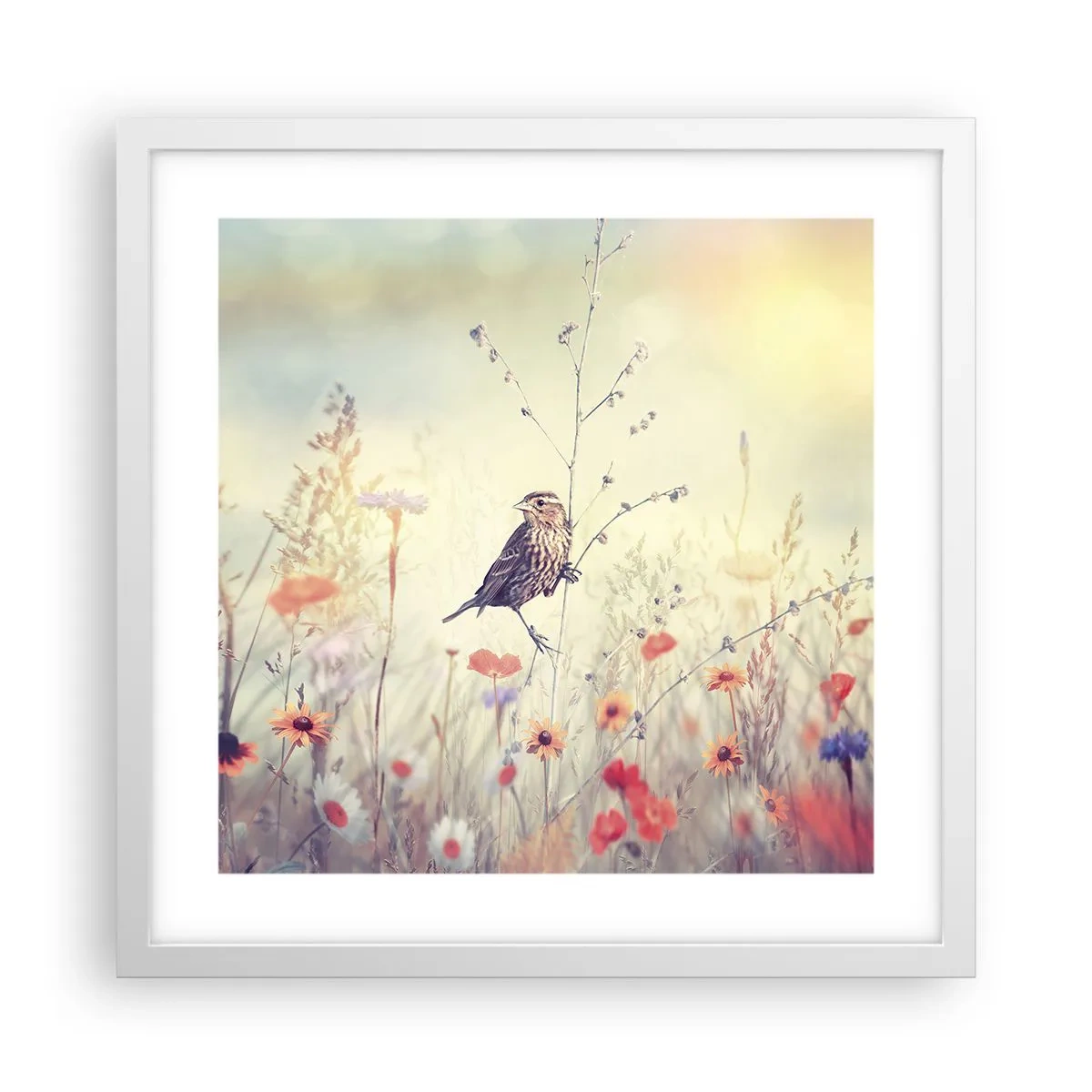 Póster en marco blanco - Retrato de pájaro con prado de fondo - 40x40 cm