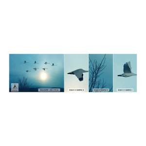 Muestra de fotomural autoadhesivo Deluxe Sticker - Adiós al verano por un año - Paisaje, Cigüeña, Aves - 100x30 cm