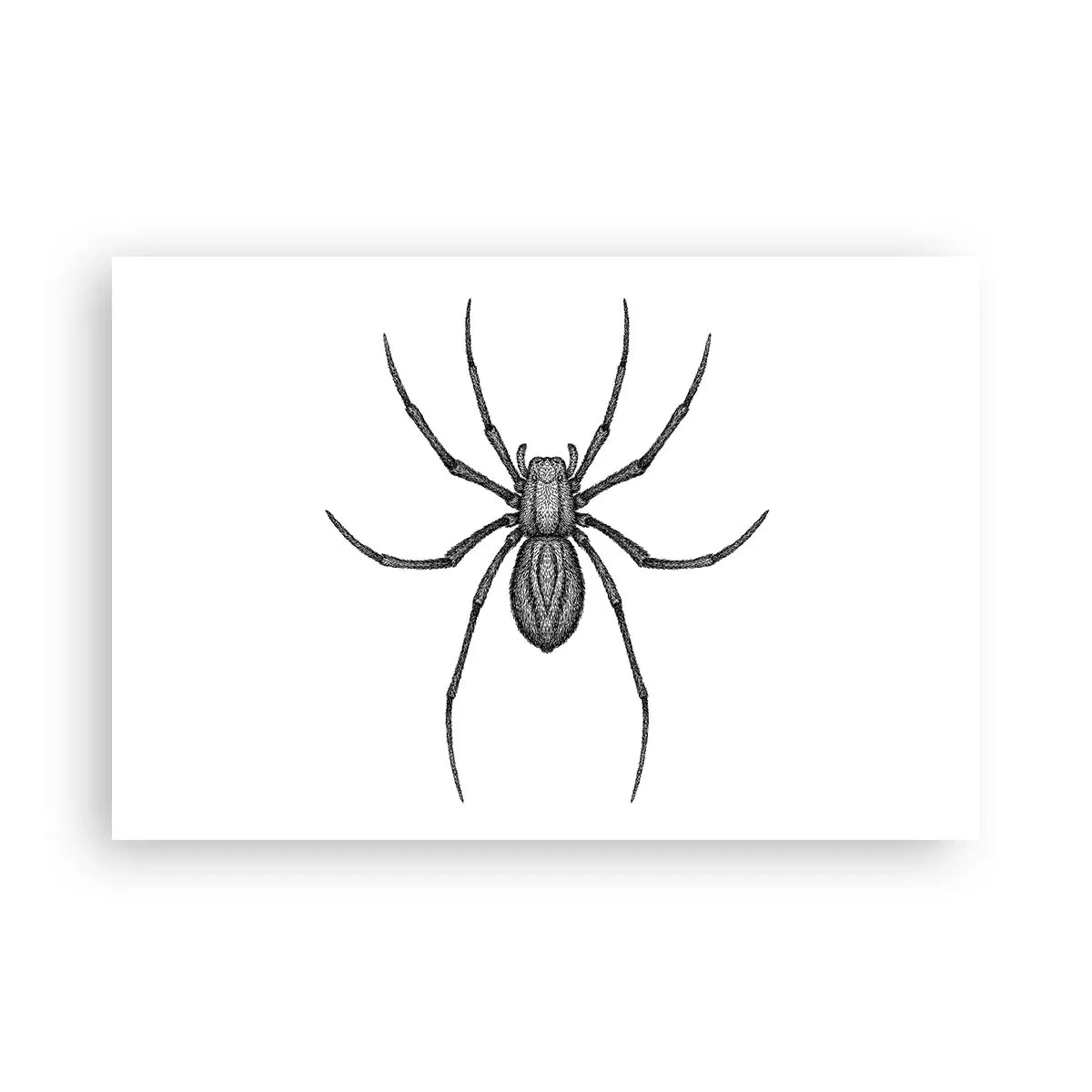 Póster - Precisión inquietante - 91x61 cm