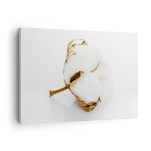 Cuadro sobre lienzo - Impresión de Imagen - Una rama de algodón sobre un fondo claro en un enfoque minimalista. - 70x50cm - Suave por naturaleza - Decoración de pared moderna para salón y dormitorio ARTTOR