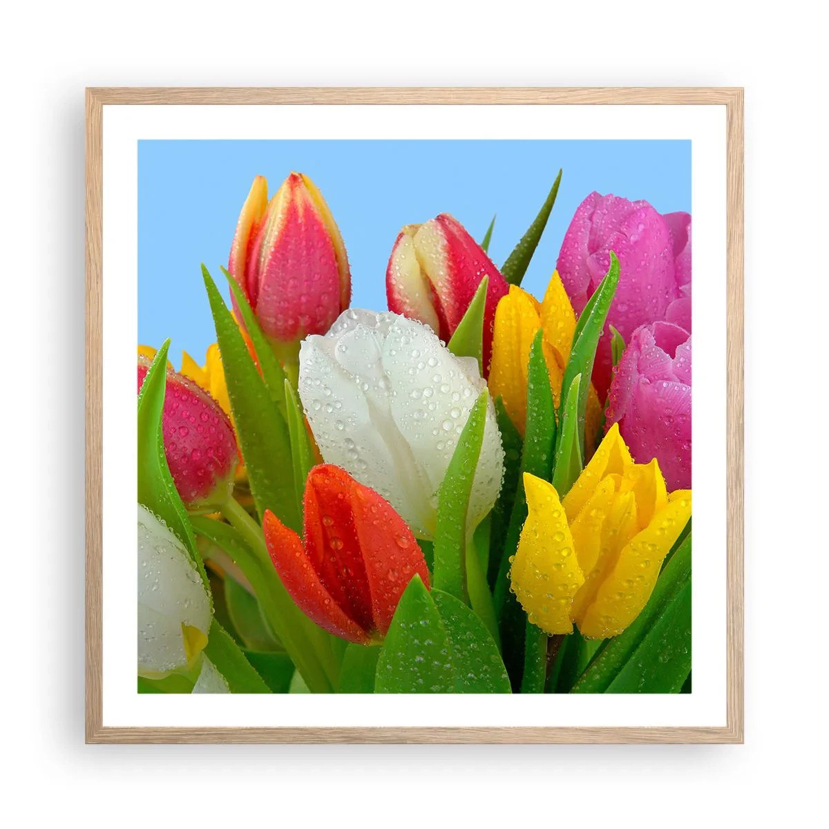 Póster en marco roble claro - Arco iris floral en gotas de rocío - 60x60 cm