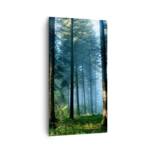 Cuadro sobre lienzo - Impresión de Imagen - Radiante por la mañana - 55x100 cm