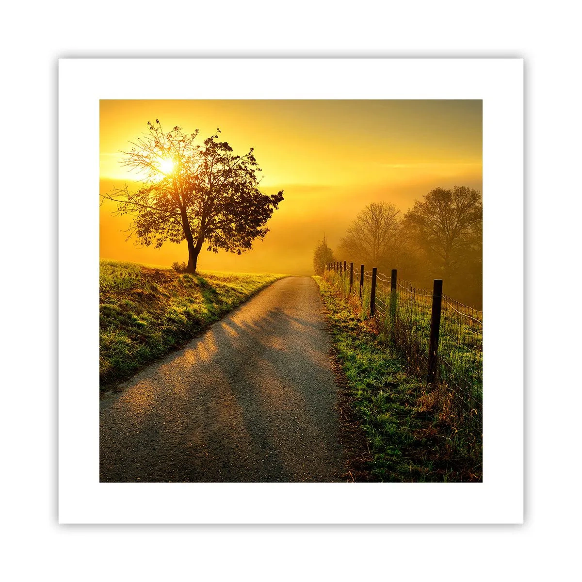 Póster - Tarde melosa - 40x40 cm