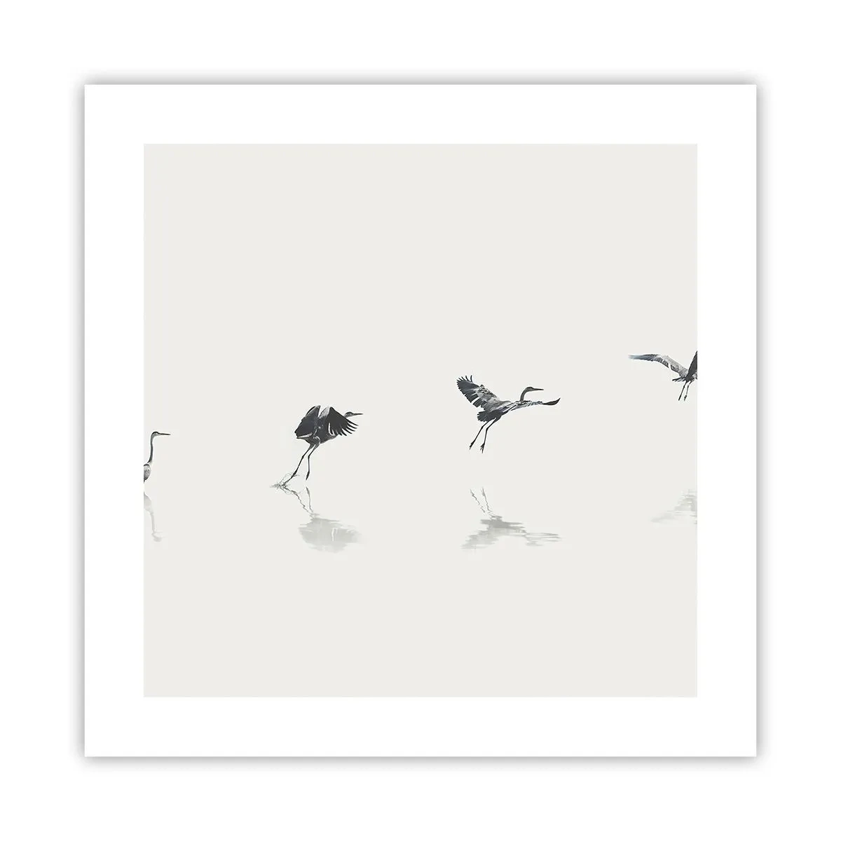 Póster - Cuatro sencillos pasos para despegar - 40x40 cm