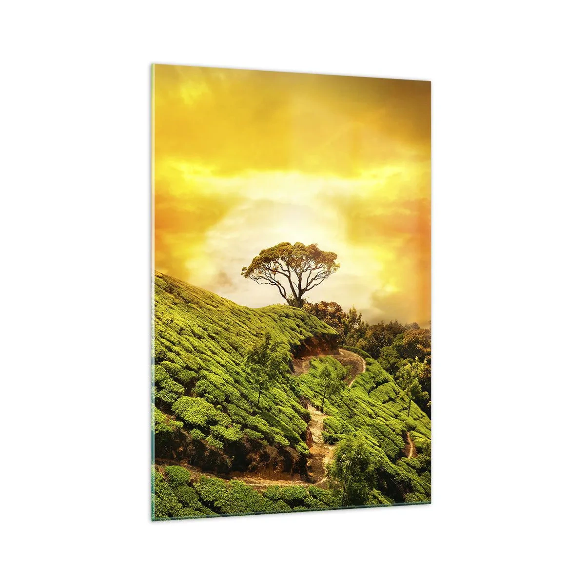 Cuadro sobre vidrio - Impresiones sobre Vidrio - Colinas verdes de plantaciones de té al atardecer - 70x100cm - Por un camino sinuoso, por una verde pendiente - Decoración de pared moderna para salón y dormitorio ARTTOR