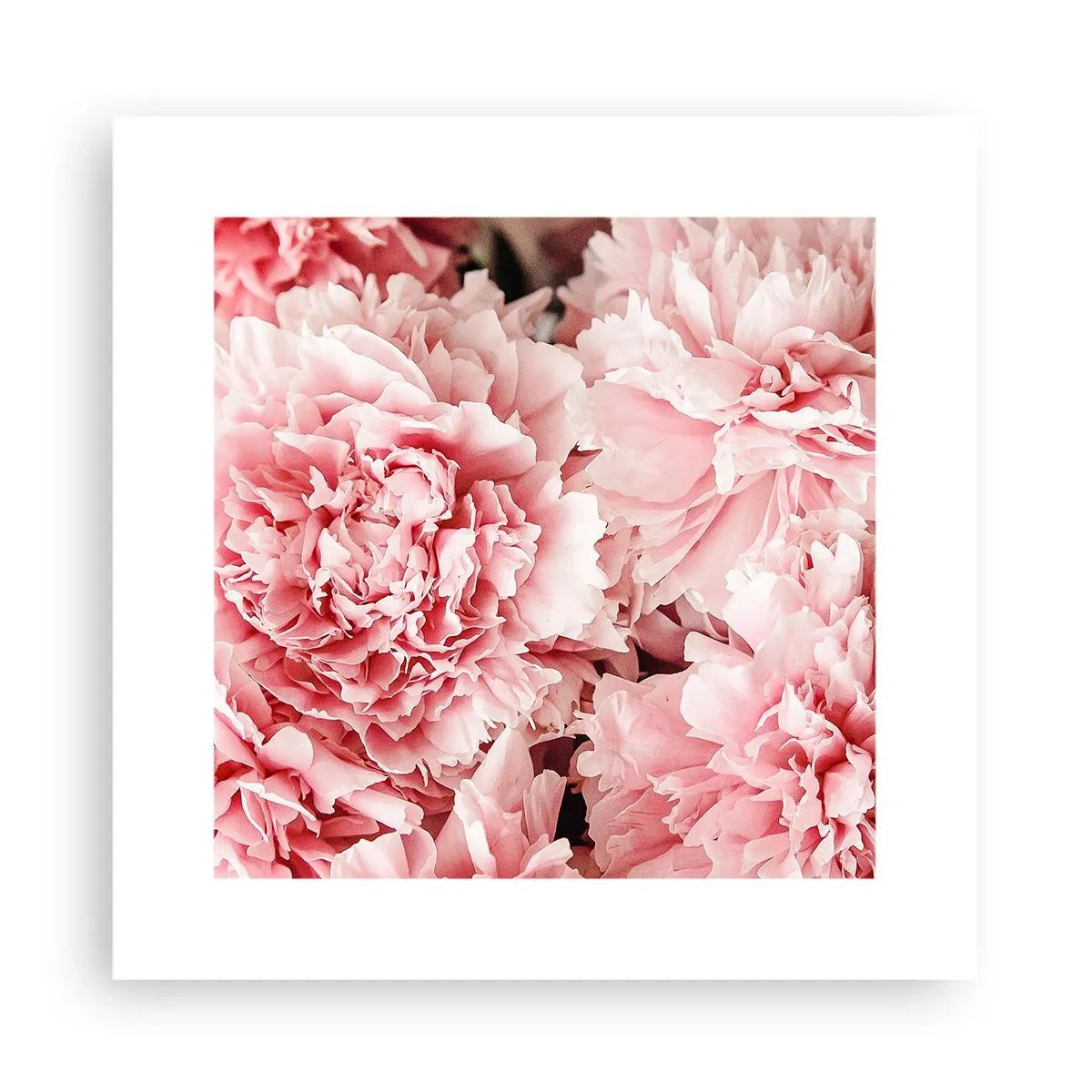 Póster - Sueño rosa - 30x30 cm