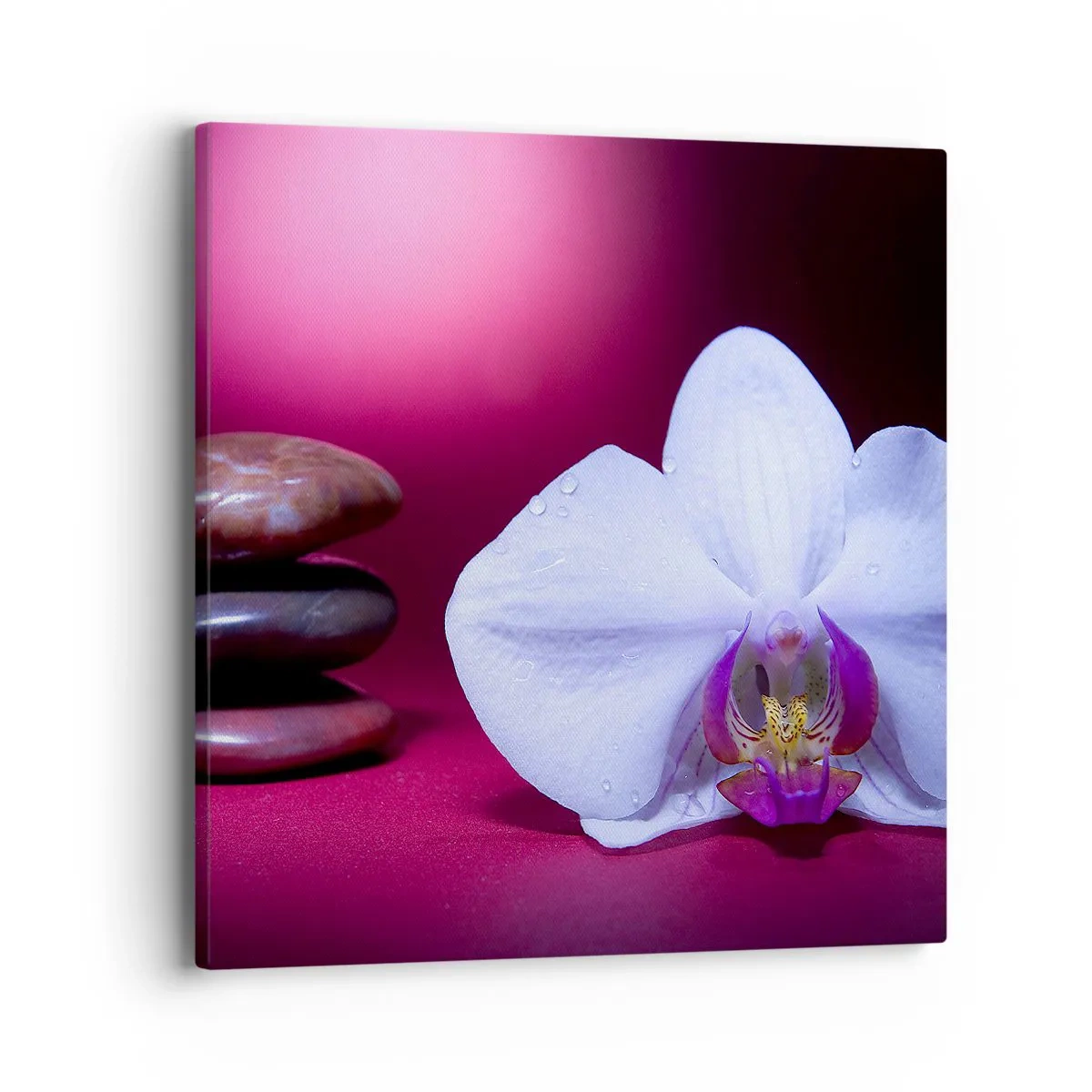 Cuadro sobre lienzo - Impresión de Imagen - Estudio de frescura en violeta - 40x40 cm