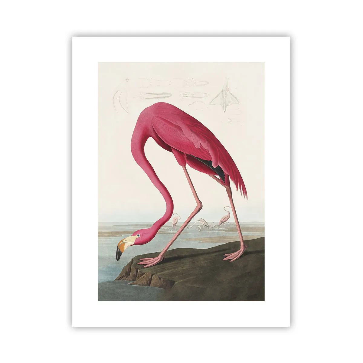 Póster - Creación asombrosa - 30x40 cm