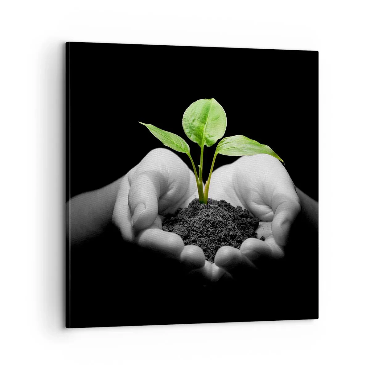 Cuadro sobre lienzo - Impresión de Imagen - Amo la naturaleza, la protejo - 60x60 cm