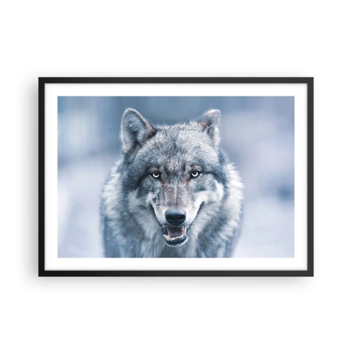 Póster en marco negro - Un lobo con una mirada intensa en un paisaje invernal. - 70x50cm - ¿Aceptarás el reto? - Decoración de pared moderna para salón y dormitorio ARTTOR