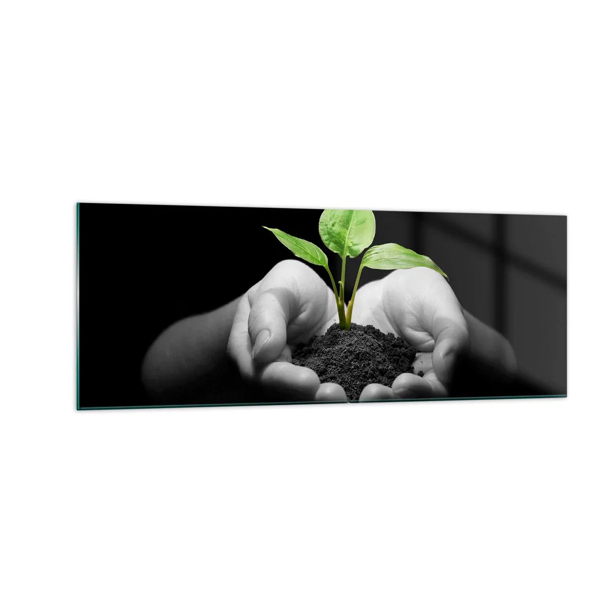 Cuadro sobre vidrio - Impresiones sobre Vidrio - Manos sosteniendo una planta verde sobre un fondo negro - 140x50cm - Amo la naturaleza, la protejo - Decoración de pared moderna para salón y dormitorio ARTTOR