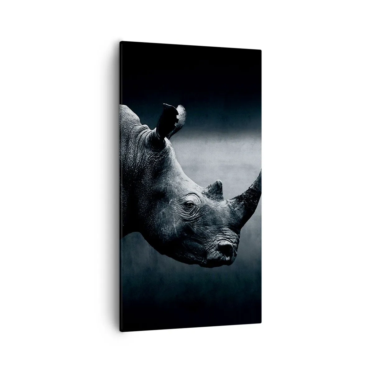 Cuadro sobre lienzo - Impresión de Imagen - Perfil derecho - 55x100 cm
