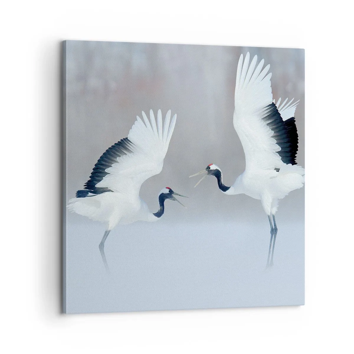 Cuadro sobre lienzo - Impresión de Imagen - Danza en la niebla - 60x60 cm