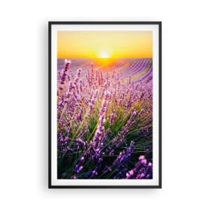 Póster en marco negro - Pradera fragante - 61x91 cm