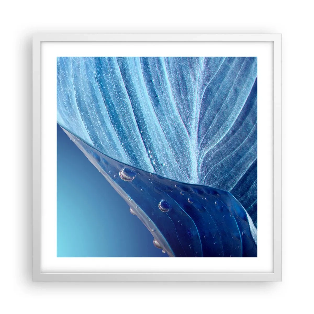 Póster en marco blanco - Gotas ocultas de azul - 50x50 cm