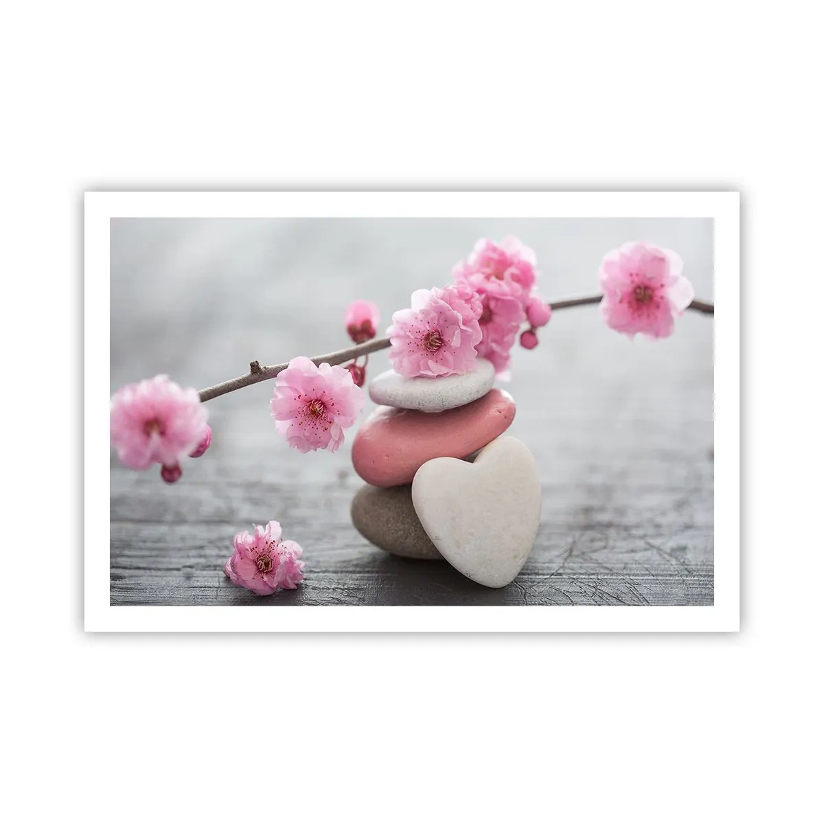 Póster - Felicidad con la flor del cerezo - 91x61 cm
