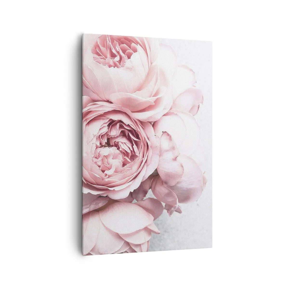 Cuadro sobre lienzo - Impresión de Imagen - Peonías rosas en una luz suave sobre un fondo claro. - 80x120cm - Para los románticos - Decoración de pared moderna para salón y dormitorio ARTTOR