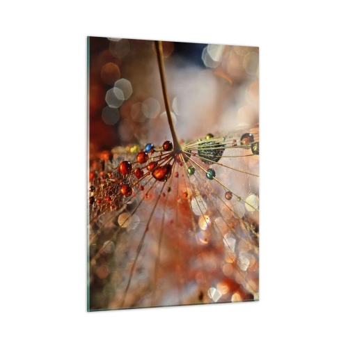 Cuadro sobre vidrio - Impresiones sobre Vidrio - Gotas de agua sobre una delicada telaraña con luz bokeh - 50x70cm - En una tela de araña - Decoración de pared moderna para salón y dormitorio ARTTOR