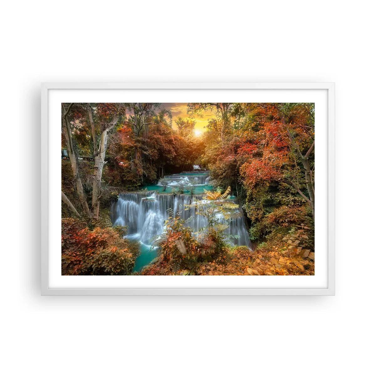 Póster en marco blanco - El tesoro escondido del bosque - 70x50 cm